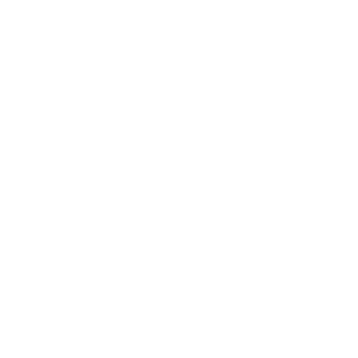 logo authenthicine
